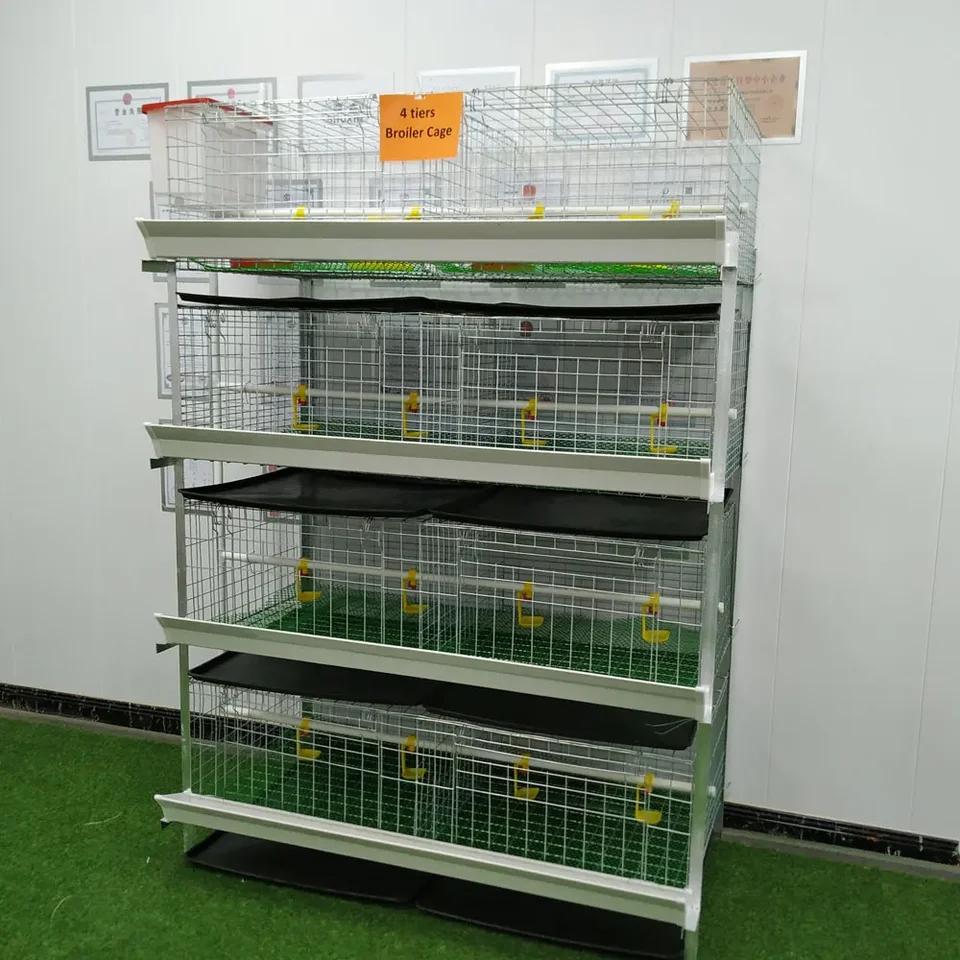 Horúci predaj automatické kladenie vajec kŕmenie Systém chovu batériu hydinová vrstva vrstva brojlerov vtáky sliepky kuracie klietky