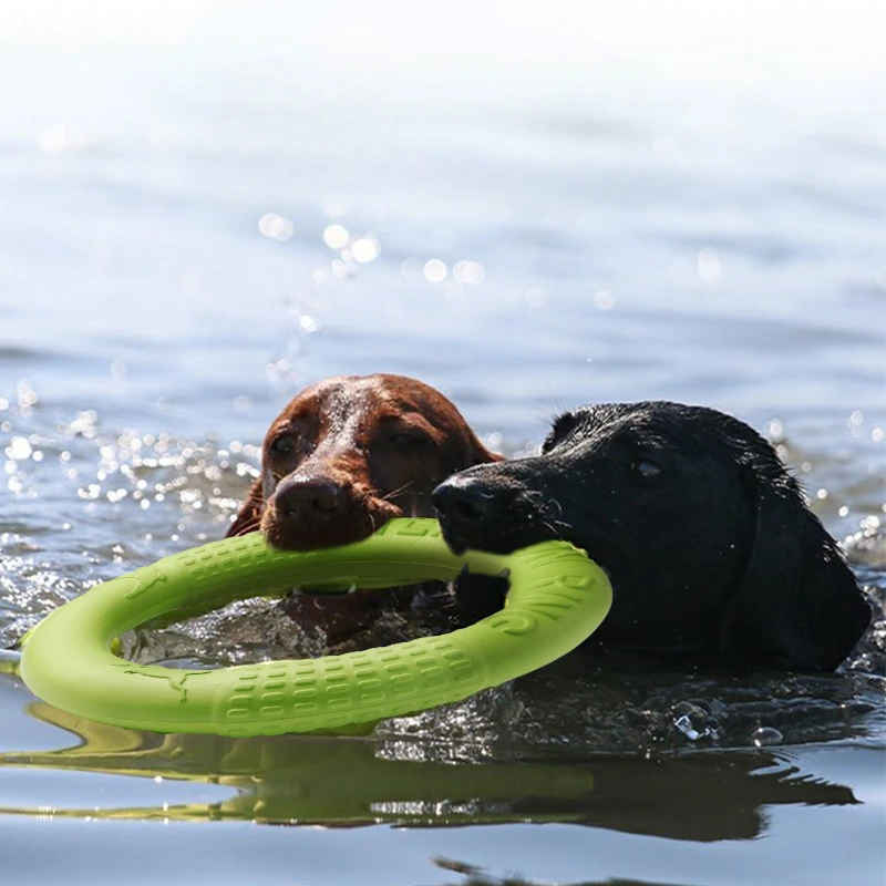 Hračka pre psov Veľký pes Interaktívny kruhový prsteň Pull Ring Ring Ring Ring Brinding Zuby a odolnosť proti uhryznutiu Indoor and Outdoor Fun Hračky pre domáce zvieratá