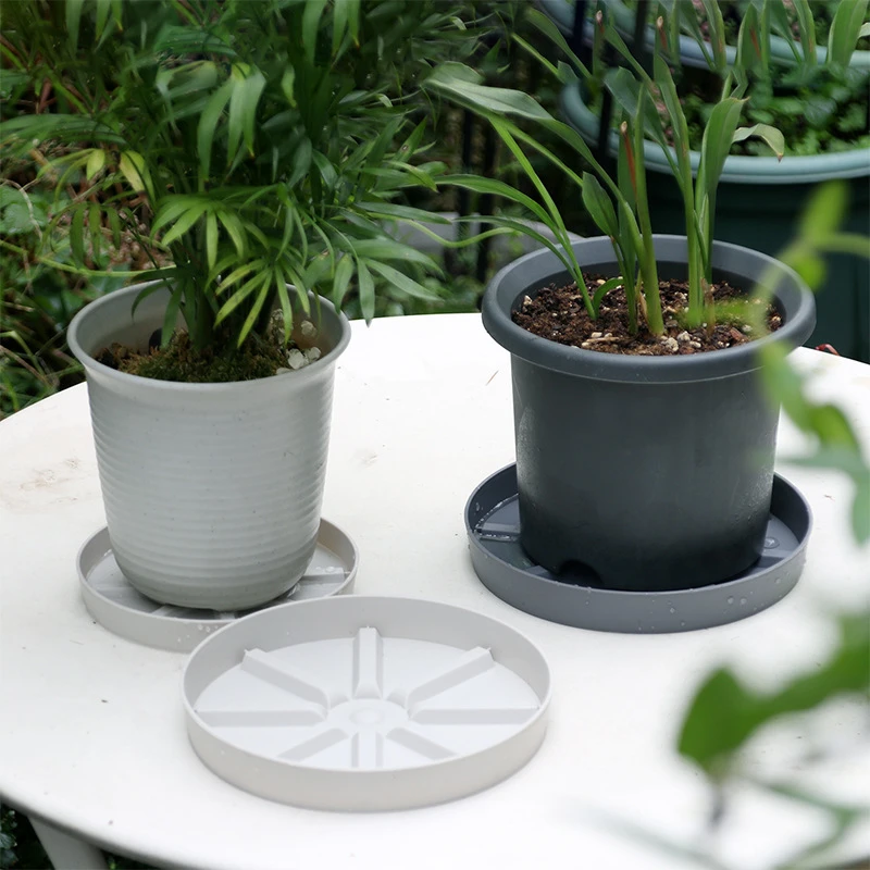 Hrnca Round Round Movement Patyter Dolly Trolley Palelet Outdoor Indoor Tree Flower Pader Stand Indoor Outdoor Garden