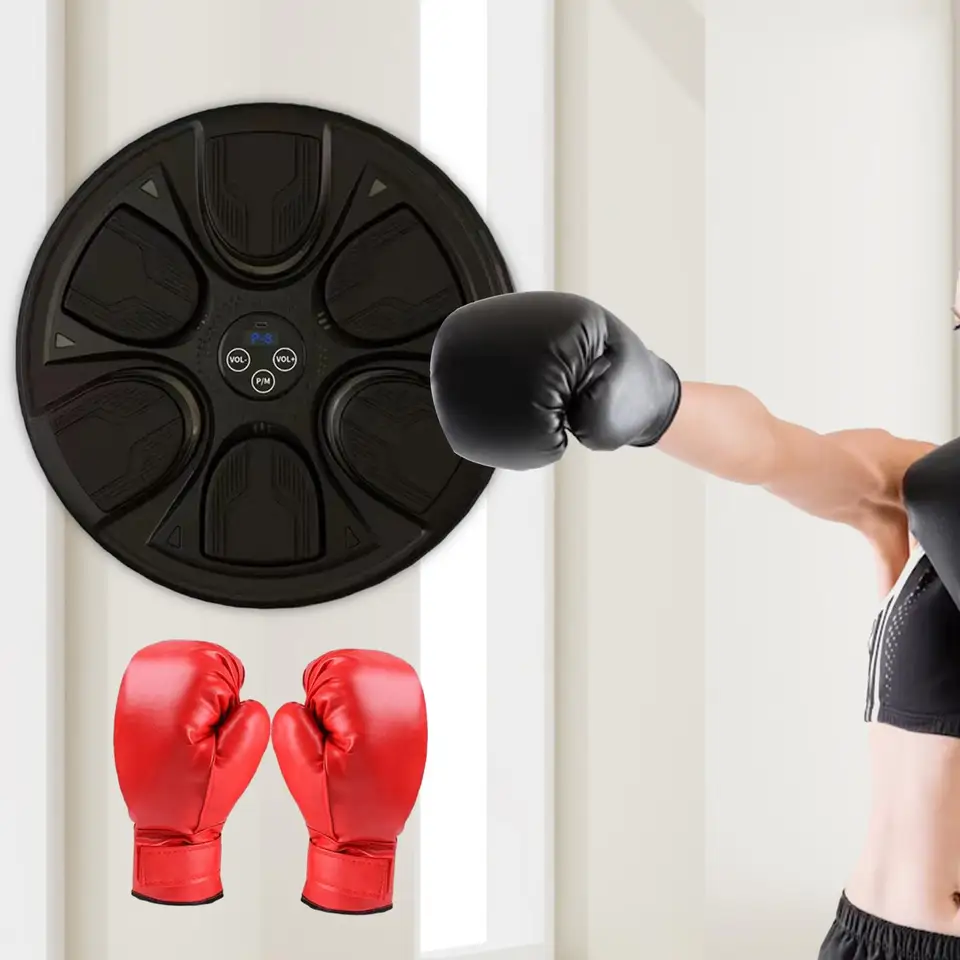 Hudobný boxer, elektronický terč s hudobným boxom, domáci ľahký