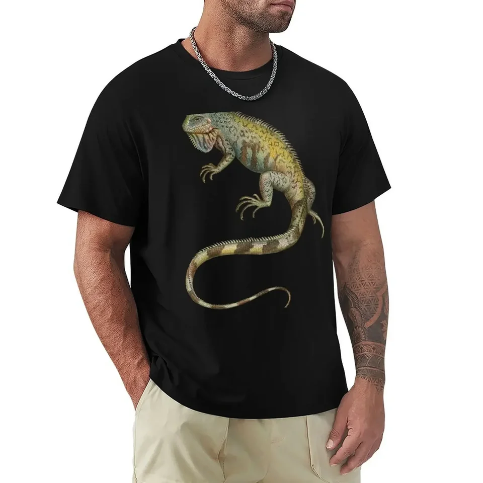 Iguana Tropical jašteric