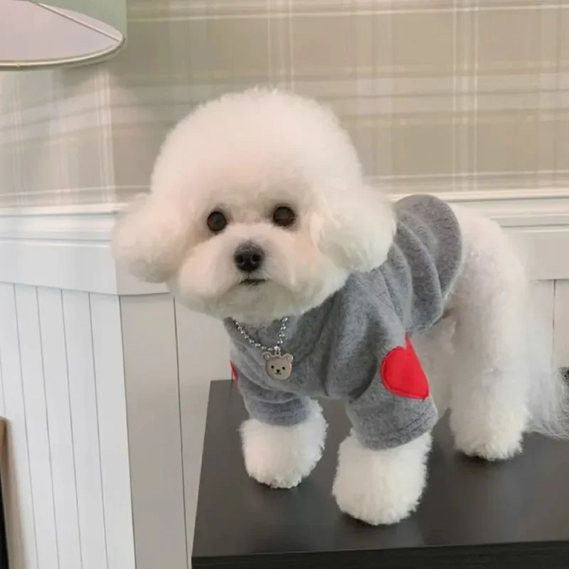 Ins Teddy Bear Dog Clothes Láska rukávové spodné tričko Dve nohy zamatové oblečenie Cat Autumn/zimné domáce zvieratá šaty šteniatko