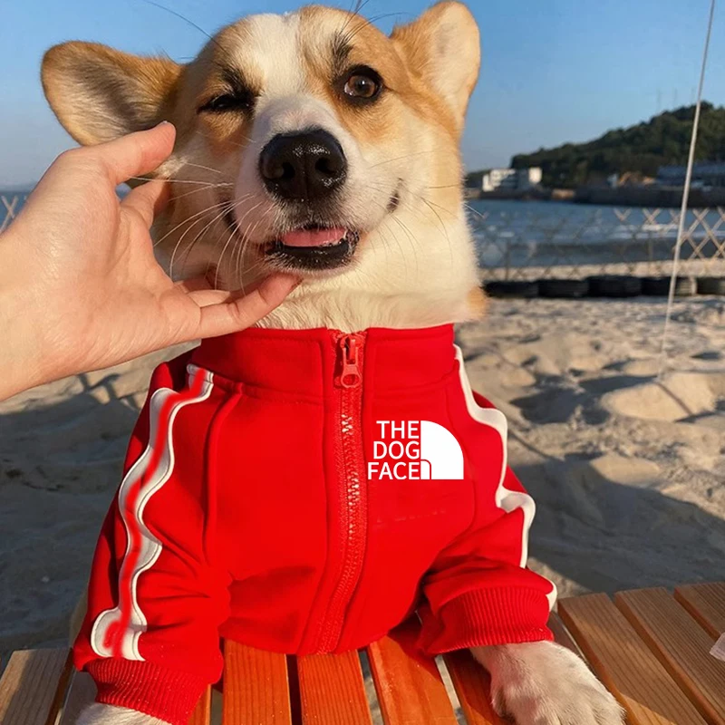 Jeseň a zima Nové domáce zvieratá pes zipsová mikina Big Dog Coat Malé a stredne veľké psie oblečenie mačacie oblečenie
