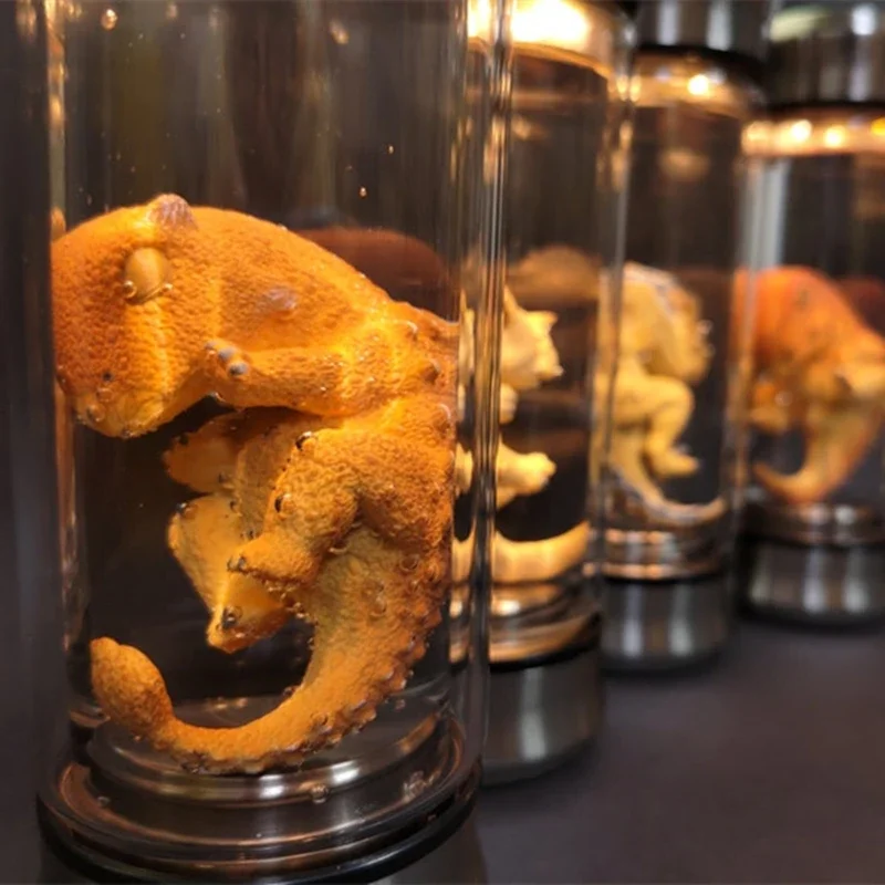 Jurassic Park Dinosaur Embryo Glow Jar Jurassic World Velociraptor Blue Embryo Jar Film Film Replica