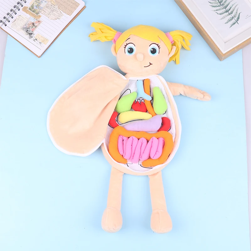 Kid Montessori hračky 3D puzzle ľudské telo anatómia Doll Body Organ učiť pomáha ľudské telo anatómia plyšová hračka