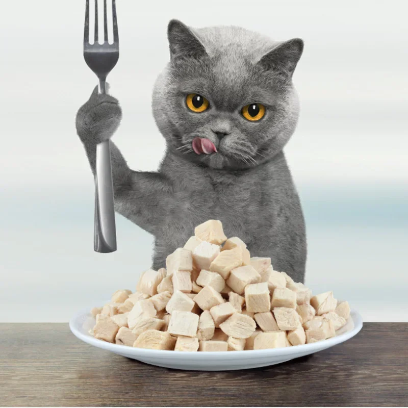 Kitty Food Cat Snacks Dog Pet Snacks Freeze sušený kurací kuracie kuracie prsia výkrm