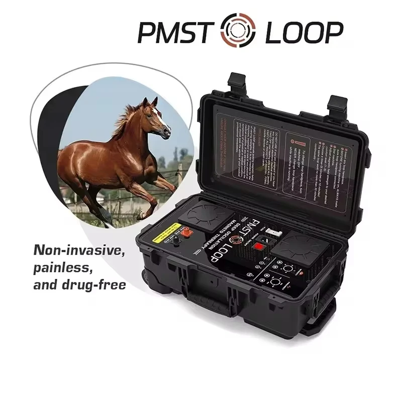 Kone PEMF Pulse Electromagnetic Therapy PMST stroj s jednou a motýľovou slučkou pre liečbu zvierat