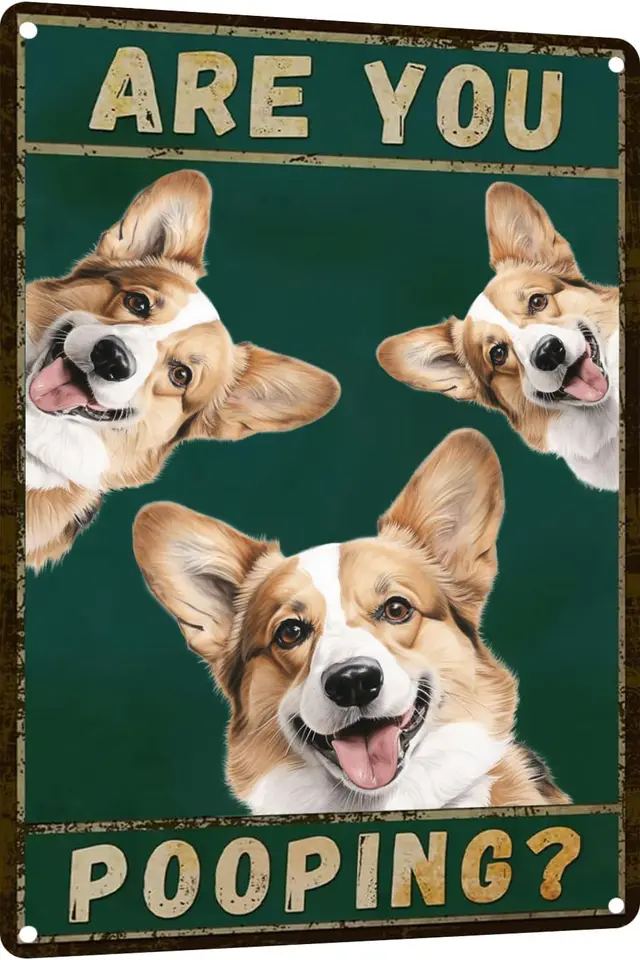 Kovový znak psa corgi ste hovno podpis vintage vtipný znak retro hliníkové plechové značky pre domácu kuchyňu