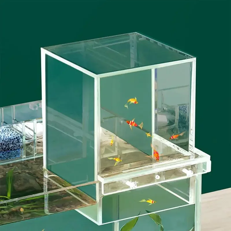 Kreatívne akváriové nádrže Negatívny tlak Fish nádrže Ekologická dekorácia akvacape