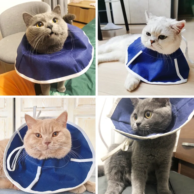 Kruhový golier Cat Cat Cat Pet Dog Cover po sterilizácii proti súsuniu a proti lízanej hanbe Ring Products