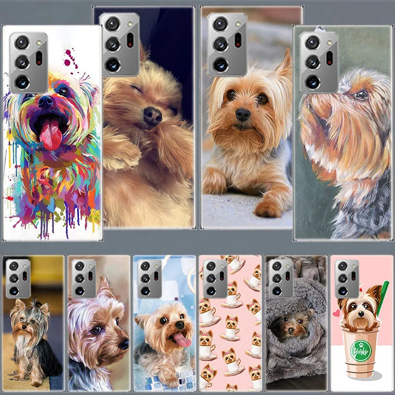 Kryt telefónu v Yorkshire Terrier pre telefón Samsung A05S A15 A25 A35 A55 Galaxy Note 20 Ultra 10 9 8 J8 J6 J4 S8 Plus F52 F62 F12