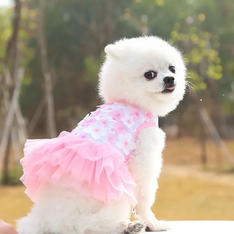 Kvetinové psie šaty sladké plyšové oblečenie kvetinová mačka sukňa princezná kostým Valentín Pet Pet Tutu na jarné letné svadobné hostiny