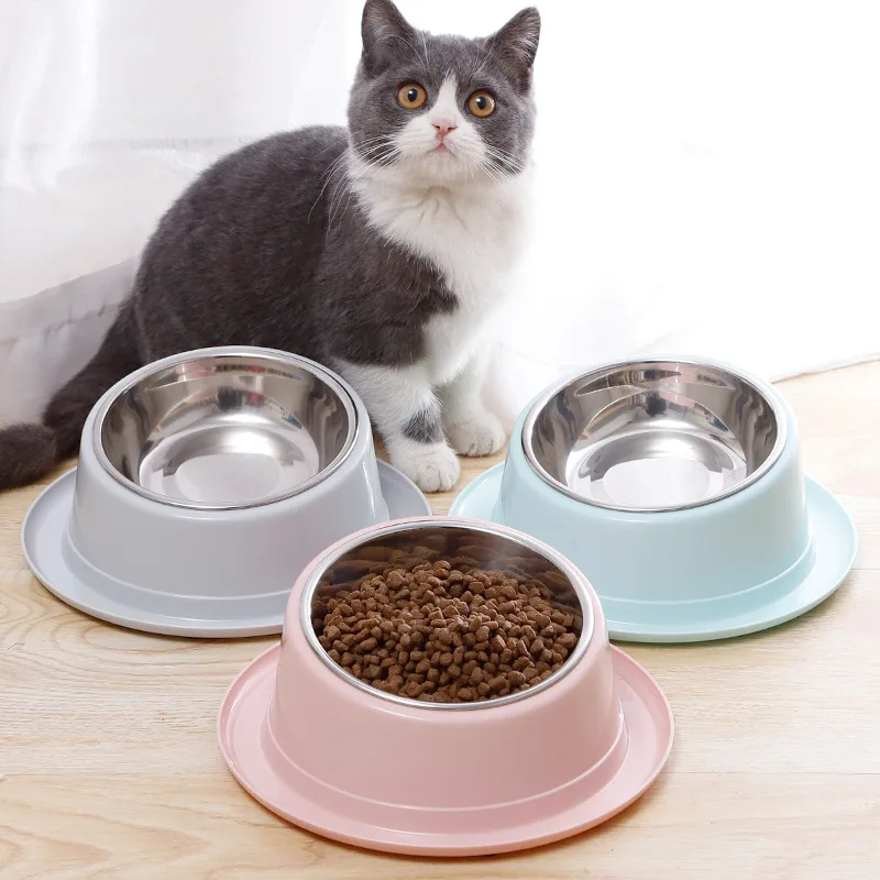 Káblové podávač svah Anti-Ant-Ant Food Bowl pre mačacie doplnky pre domáce zvieratá Kvalita misky z nehrdzavejúcej ocele pre mačky