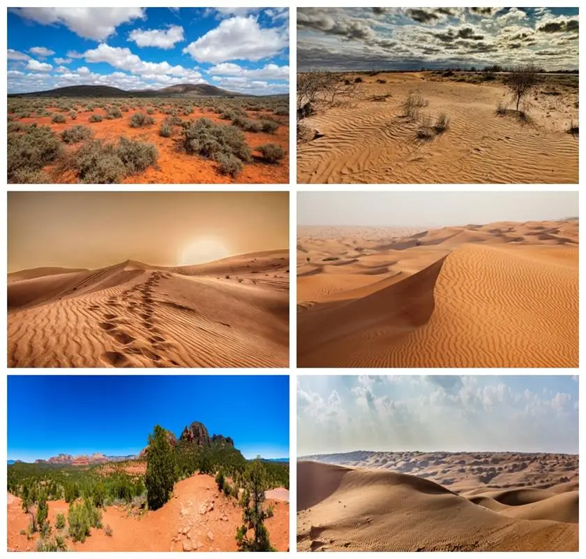 Laeacco Desert Landscape Photograph