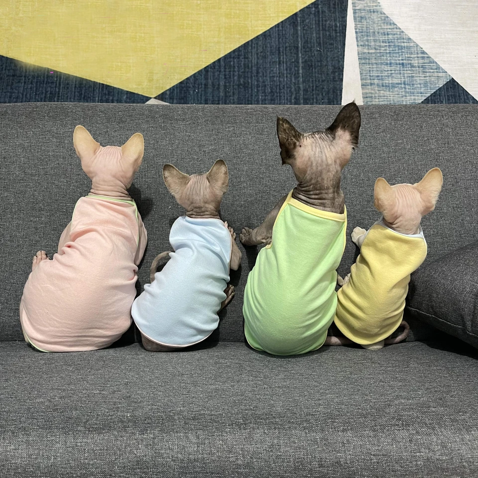 Letné pohodlné sphynxové mačacie oblečenie mačička kabát pre domáce zvieratá roztomilé oblečenie bezsrsté mačacie košeľa Dodávateľ