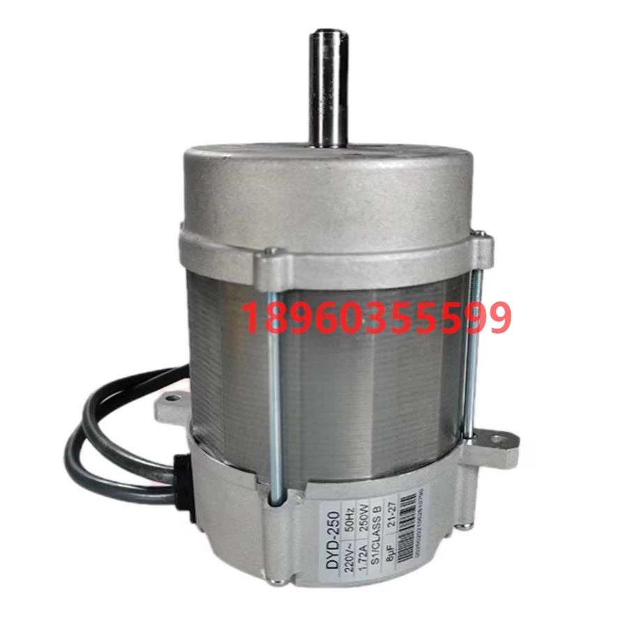Liya Road Burner BS2 BS3 BS4 BS5D RS5 RS5D MOTOR, MOTOR ventilátora 250 W/220V