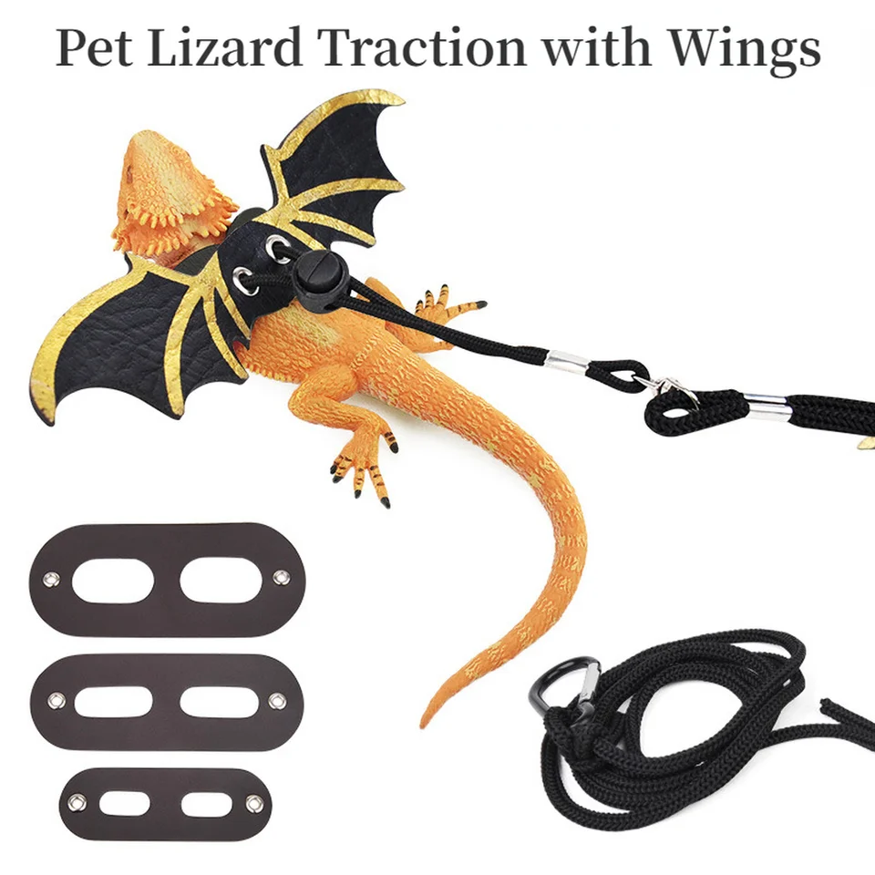 Lizard Trakčné lezenie lano Pet Pet Pet Patrap remienok Zelený legu lev veveričky Trakčné trakčné pásové šnúry dĺžka 120 cm malé hračky pre domáce zvieratá