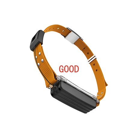 Lorawan GPS Tracker Dog Cat Catt Cattle Ovce Horse Hound Anti-Lost GSM Locator Tracking Zariadenie Pet Tracker GPS golier