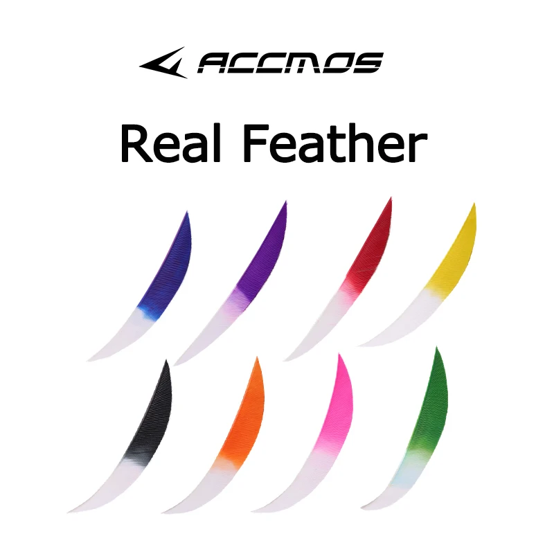 Lukostreľba príslušenstvo 5-palcové streľba na streľbu True Turecko Plumage Fletches Arrow diely kvapka tvar skutočná hlava Gradient Farba gradientu