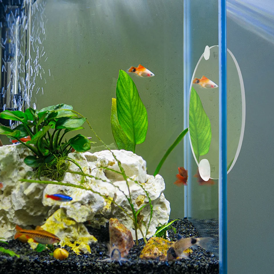 Malé rybné tank Betta Training Mirror Sattion Cup Hračky s jedným bočným zrkadlom veko sakra