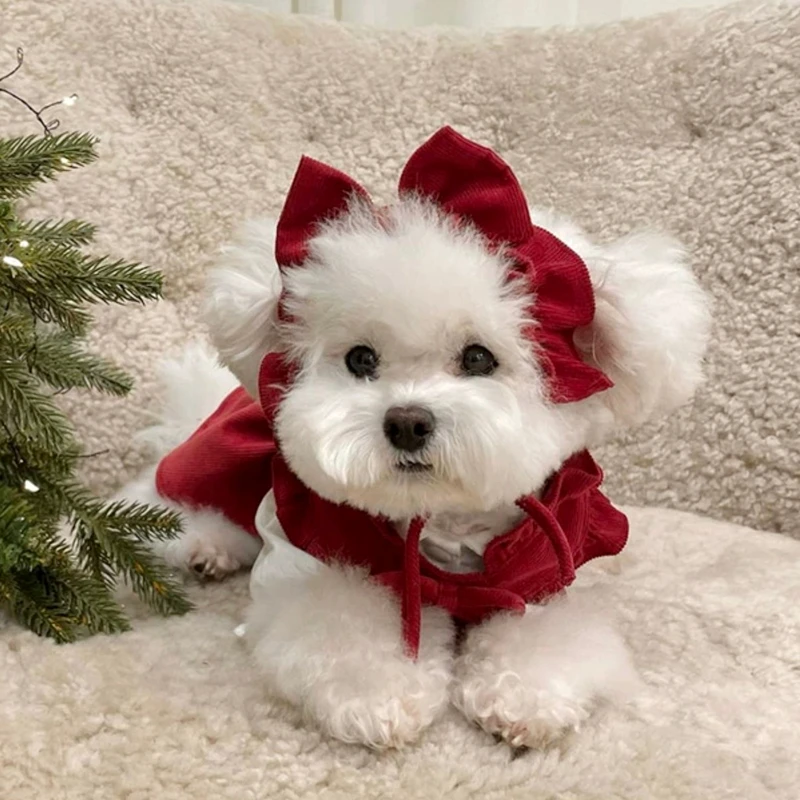 Malý pes pomeranian šaty zimné psie oblečenie masívne farebné plášťa tečúce princezná sukňa bichon teplé oblečenie novoročné darčeky bez vlasov