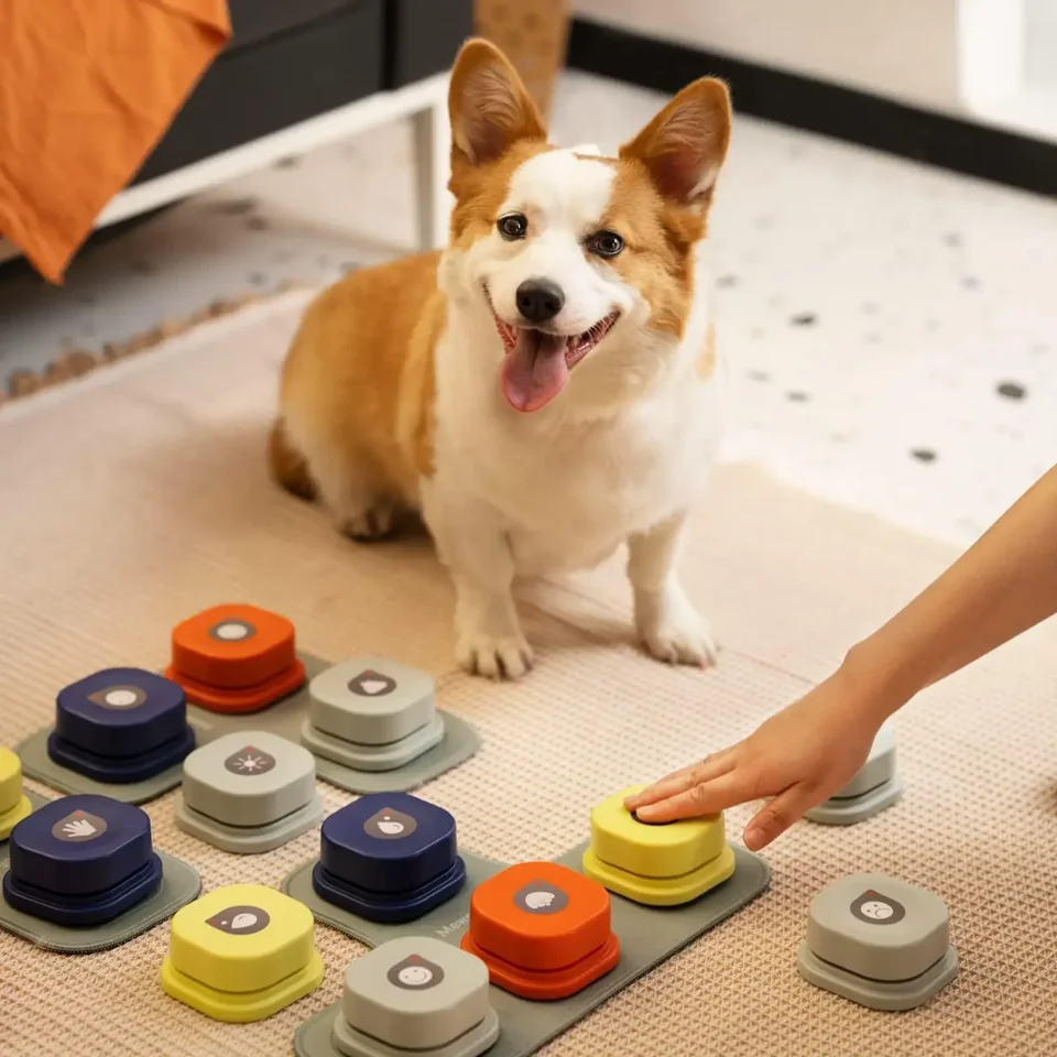 Mewoofun Dog Goming Record Talking Pet Communication Vocal Training Interactive Toy Bell Ringer s podložkou a nálepkou ľahko použiteľné