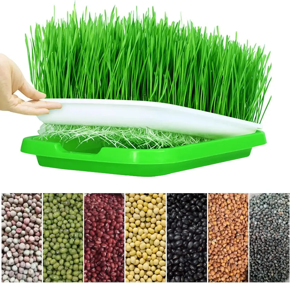 Mikrogreens Sprouter Tray Hydroponický / klíčivý podnos pre klíčko záhradnícke hydroponické systémy podnosová záhradná matka