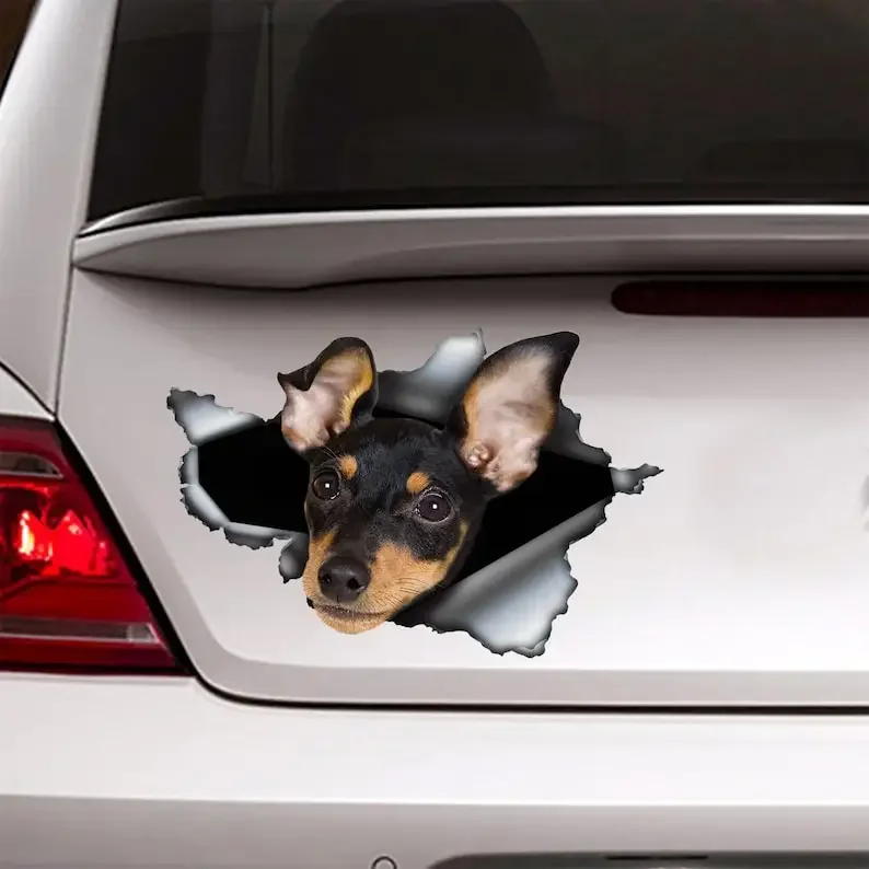 Miniatúrny pinscherový nálepka, miniatúrny pinscher magnet, dekorácia auta, nálepka na pincher