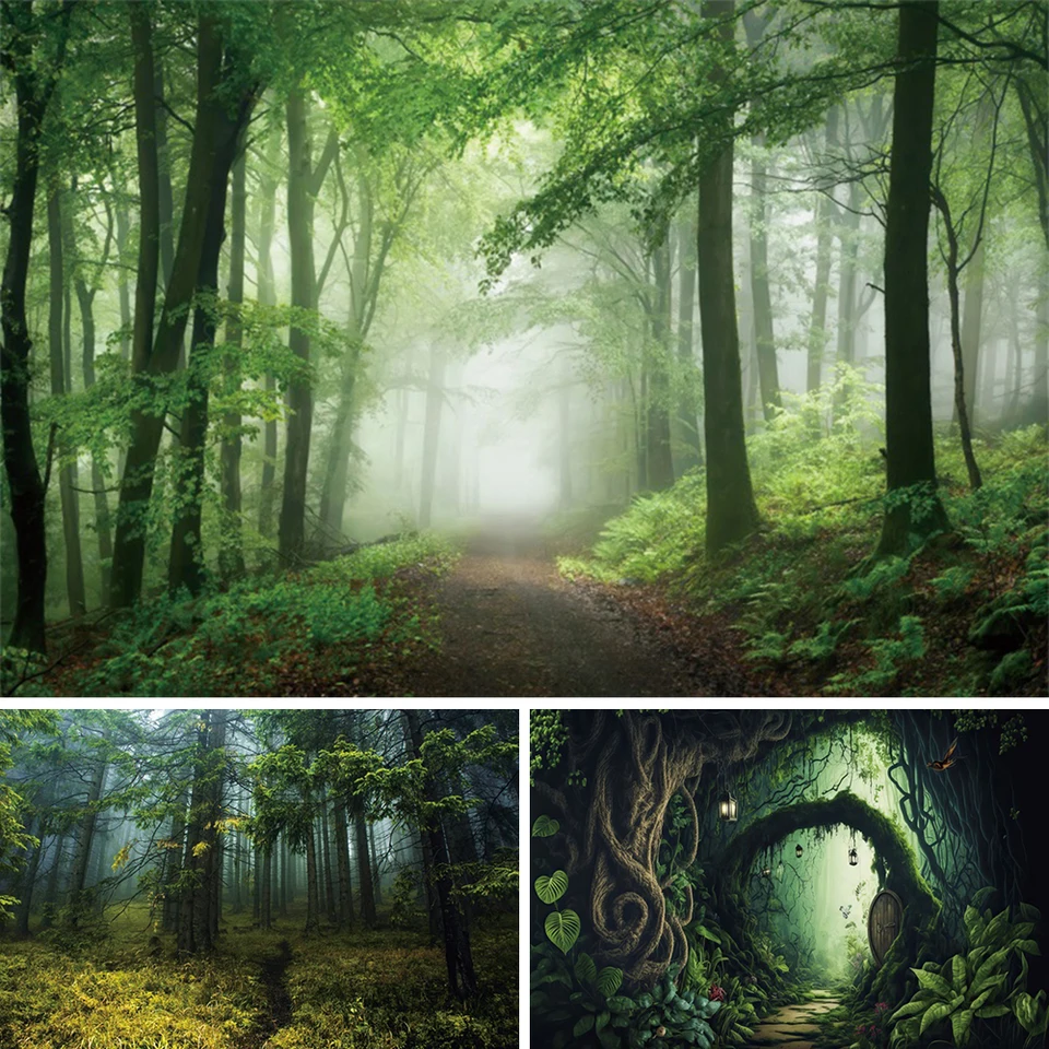 Misty Jungle Photography Pozadie zelené tropické lesy zázraky Psychedelic podivné stromy Grass pozadie fotografií