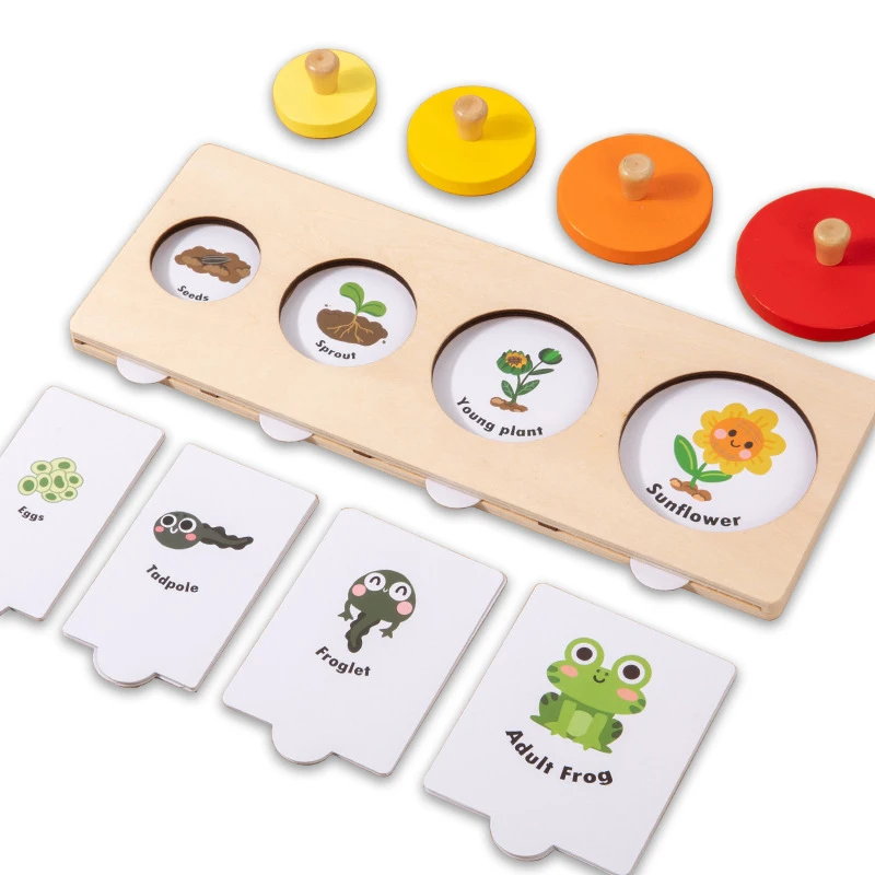 Montessori životný rastový cyklus puzzle hračky výučba pomôcka detské jemné motorické zručnosti Veľkosť zhody hry predškolské vzdelávacie hračky darček