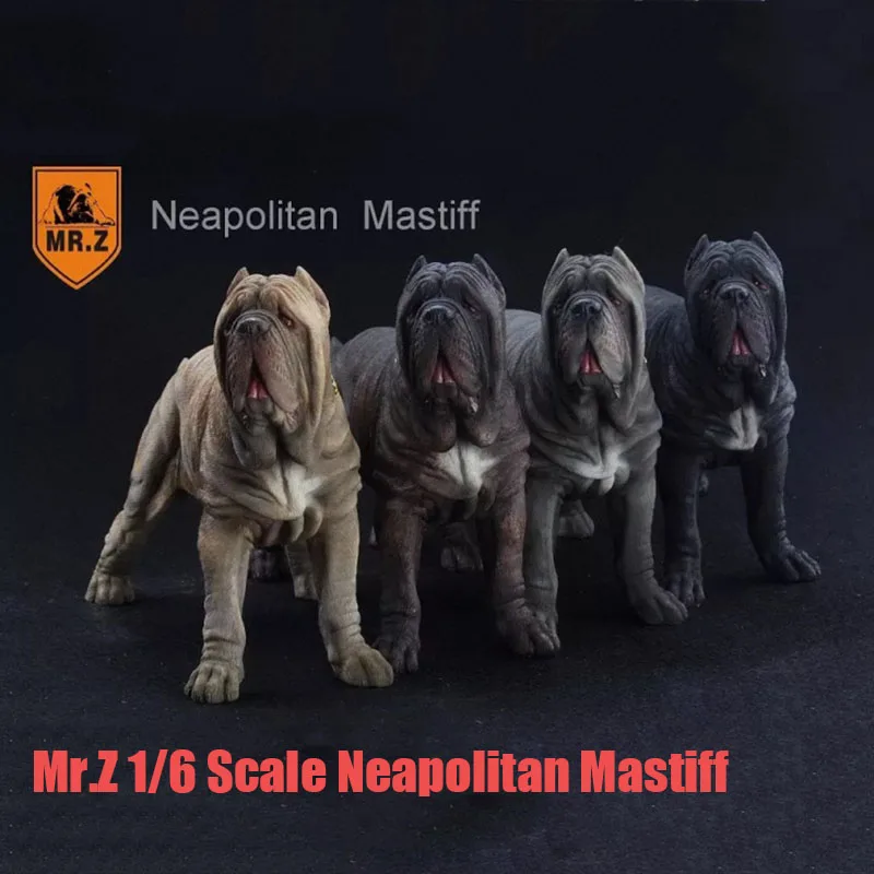 Mr.Z 1/6 v mierke neapolský mastifový psí psí socha socha modelu hračky 4 farby pre akčnú figúru Sidider Sence Accessory Collection