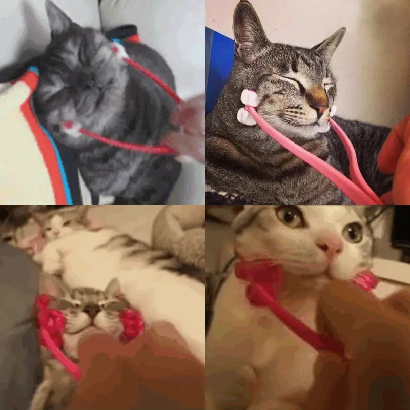 Multifunkčná mačka Massager Massager Pet Interaktívna masážna noha Massager Pohodlný zdravotný starostlivosť Nástroj pre chat mačiek