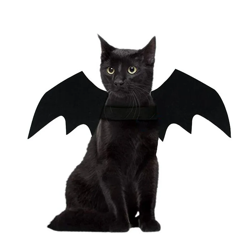 Módne mačacie šaty Bat krídla vtipné psie kostýmy umelé krídlo Pet cosplay cosplay prop halloween vianočné kostýmy Pet Pet Products
