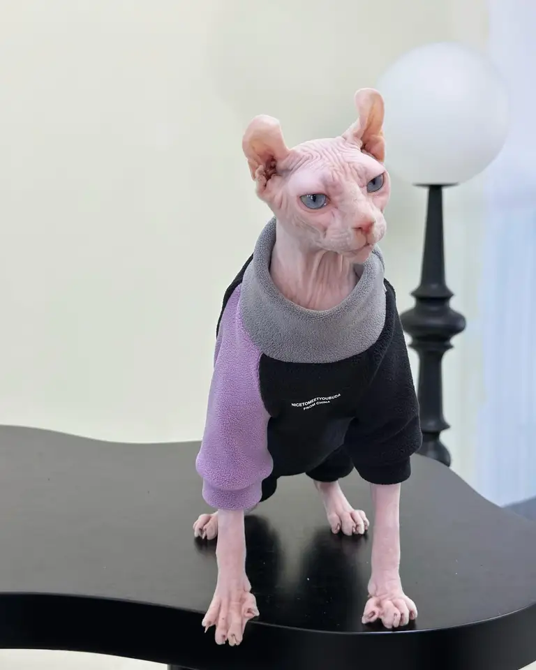 Módne sphynxové mačacie oblečenie hrubá bavlna s 4 nohami teplou kombinézou pre mačiatko zimná kabát Mikina pre dodávky mačiek Devon Rex