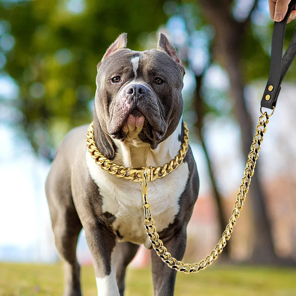 Nerezová oceľ vodítka pre psie domáce zvieratá trakcia Super silný reťazec zlatého goliera 32 mm 19 mm buldog pitbull veľkým psom golier vodítko