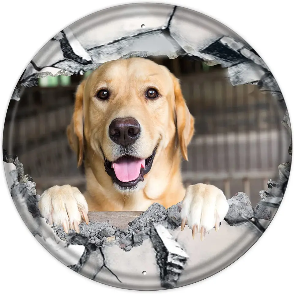 Nichpedr retro okrúhly znak psa labrador retriever kovový plech