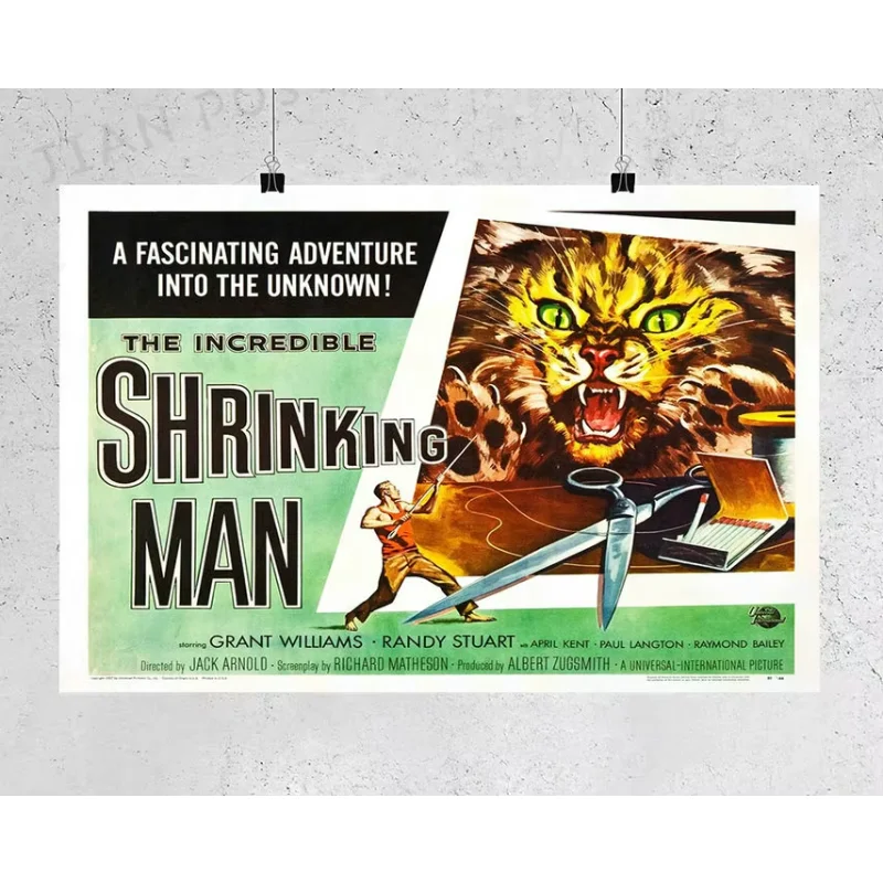 NJ344 The Incredible Shring Man Film Rare Fantasy Sci-Fi Street Sticker hodvábny plagát Art Home Dekoration