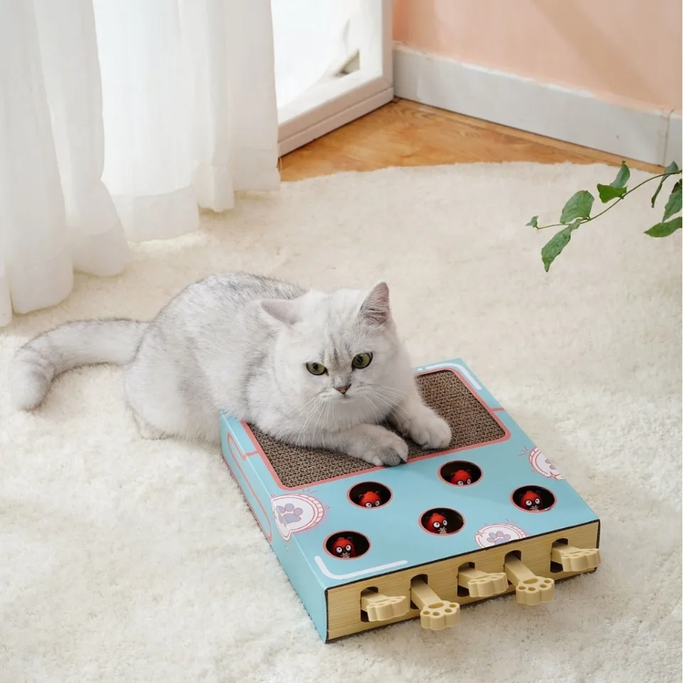 Nové drevené hračky Miaofairy Cat Hray Funny 3-v-1 mačky hračky, ktoré móla robustná mačka poškriabanie mačiek Supplies