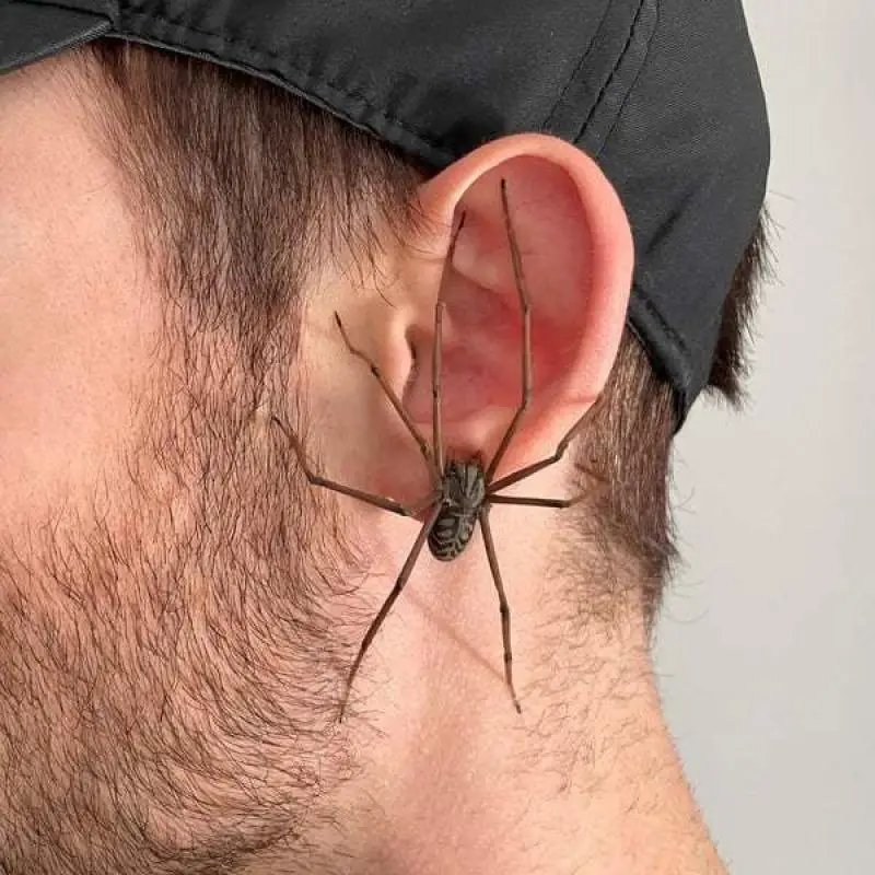Nové obrovské náušnice pavúka hiphop punk kovové nášivky módne dámske šperky Stud náušnice Men Piercing Hallowmas Jewelery Cosplay
