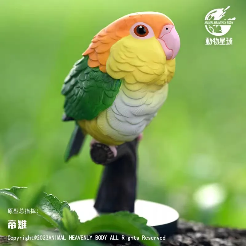 Nový zvierací slepý box L Augh and Grow Fat Series č .18 Parrot model Psittaciformes Animal GK Decorta Collection Birthday Toy Gift