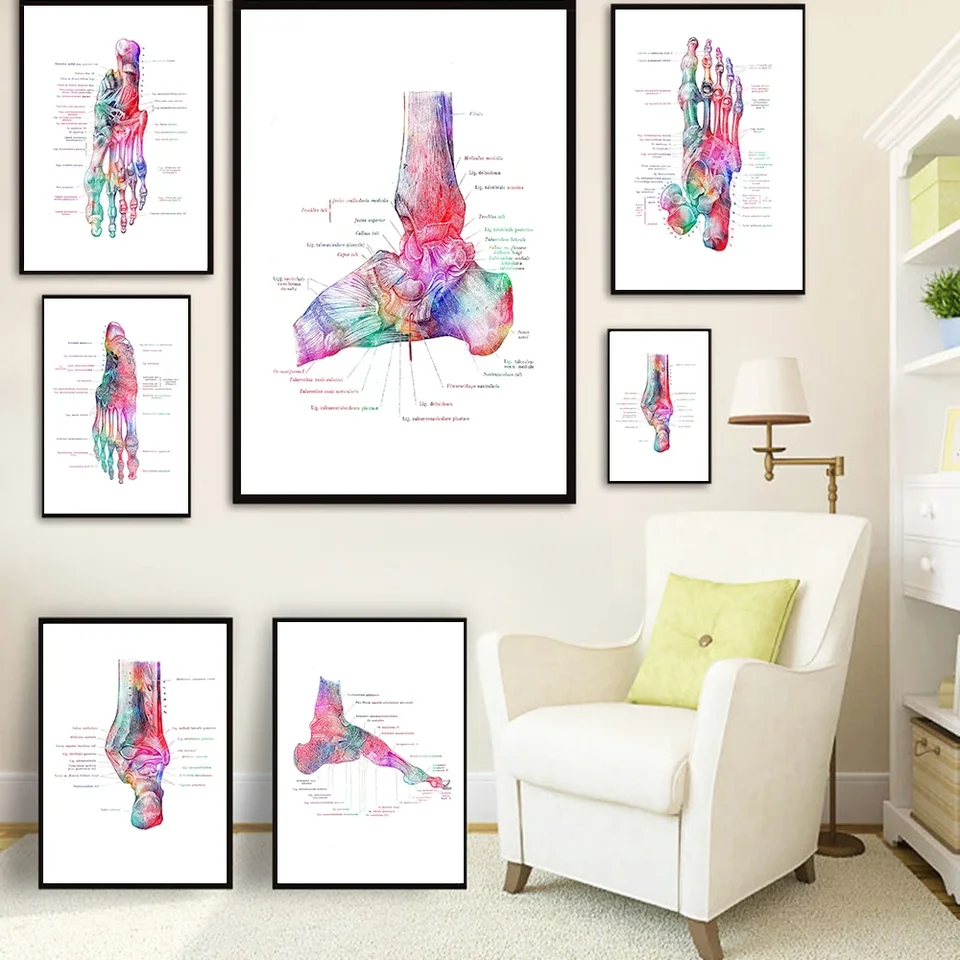 Nožné kosti anatómia plagát Podiatry umenia lekárske tlačové plátno maľujúce plagáty a výtlačky Wall Fotografie pre darčekový lekár kancelária dec