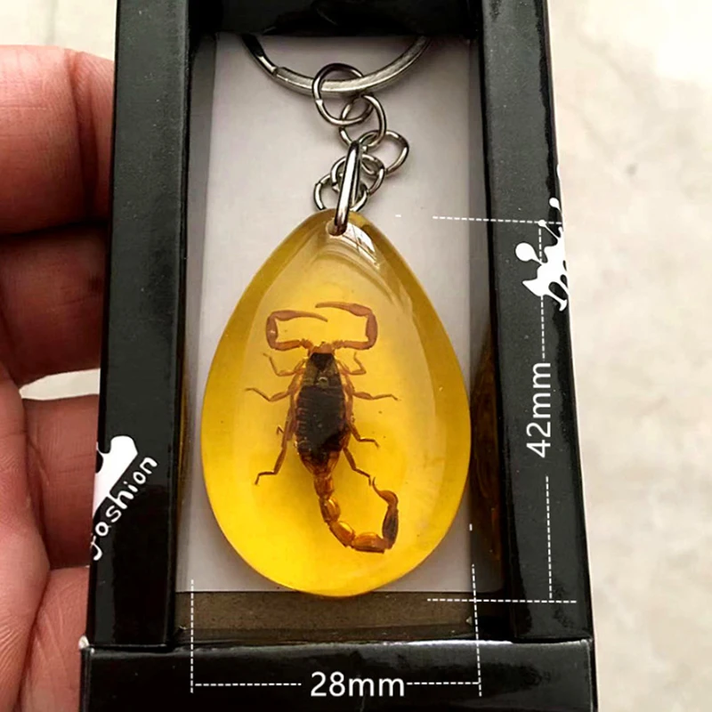 Náhodný štýl 1pc jantárový reťazec hmyzu hmyz