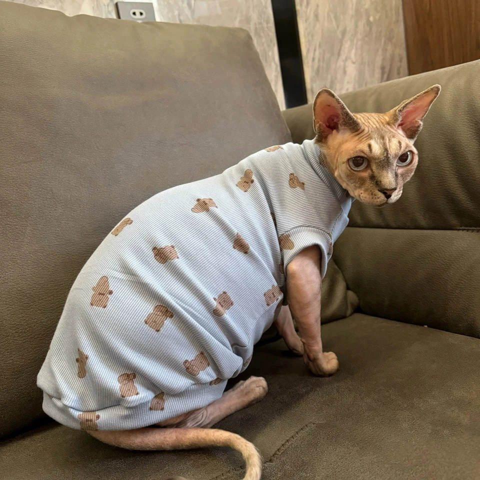 Oblečenie pre samcu mačku Sphynx mačka letná mäkká tkanina pre mačiatka modrá karikatúra medvedí leví salónik pre Devon Rex na jar