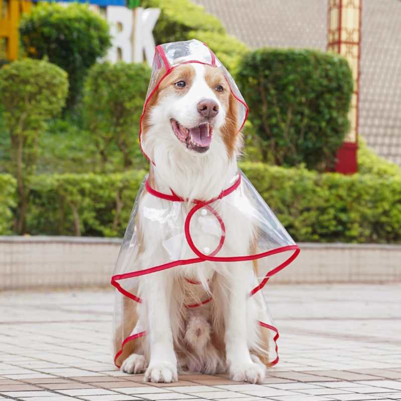 Odevy domácich miláčikov Veľký pes priehľadný vonkajší dažďový kabát Zlaté vlasy Labrador Border Collie veľké ps