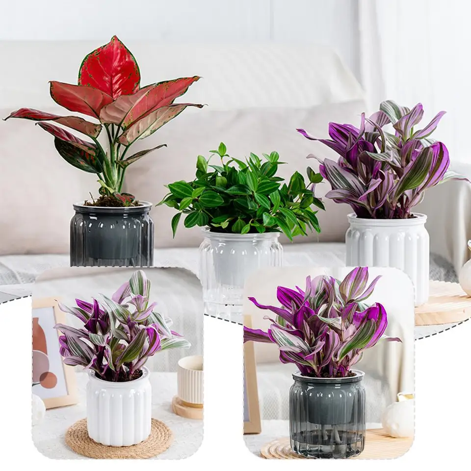 Okrúhle samovzakladanie kvetinových kvetináčov Hydroponické rastliny kvetináče vnútorné mini samovzakladanie kvetináča kvetináča Váza tabletop Sukulent x3x7