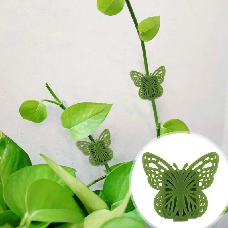 Orchideové sponky Rastliny svorky Kvety Podporujú pazúrové podpora držiaka držiaka držiaka Butterfly Tvar hroznového viniča Záhradné náradie