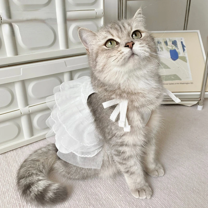Originálna mačka podväzná sukňa sukňa psa roztomilá princezná sukňa sukňa camisole oblečenie leto