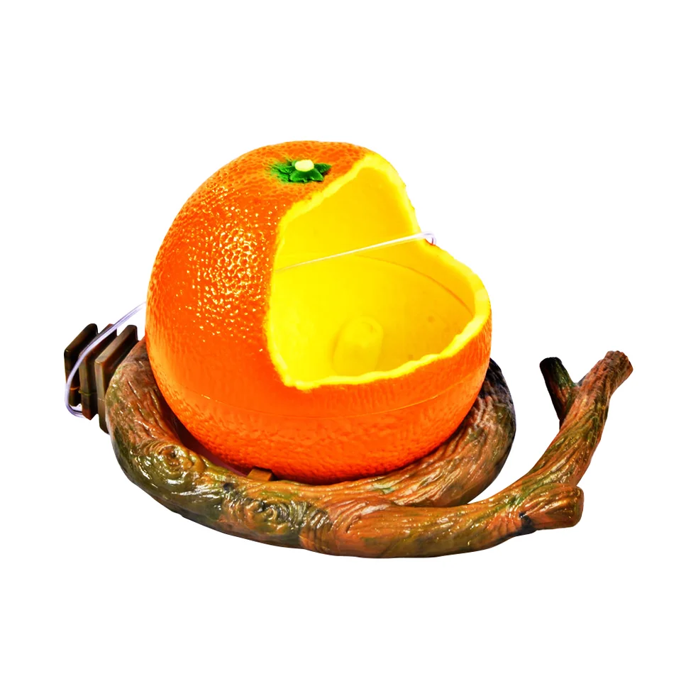 Ovocné nádoby na nádoby na jedlo Pitie misky vtáky klietky kŕmenie kŕmenie Parrot ovocie