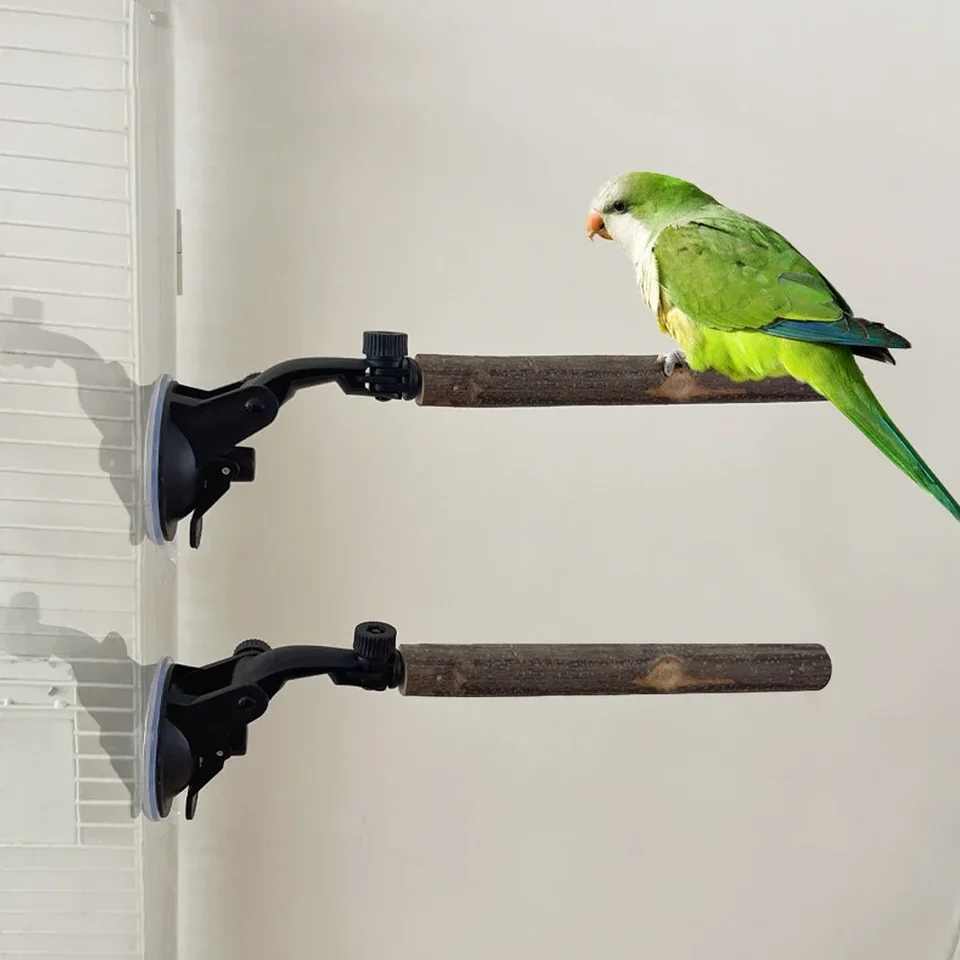 Parrot s dreveným papagájom zabraňuje sklzu interaktívne stojan na okno vtákov s prísavkami pre malého stredného vtáka