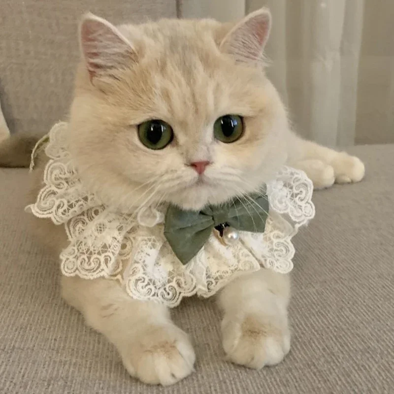 Pearl Dog Collar Jewel Swit Svadobná svadobná mačka Šteniatko Ribbon šál prívesok domáce zviera